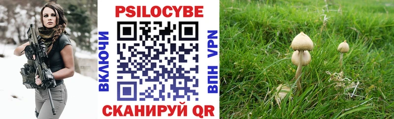 Галлюциногенные грибы Psilocybine cubensis  Александровское 